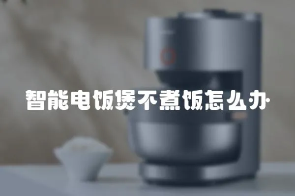 智能電飯煲不煮飯怎么辦