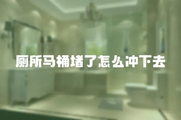 廁所馬桶堵了怎么沖下去