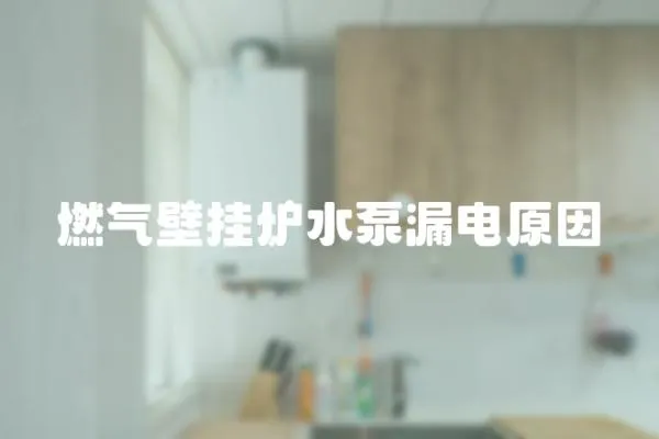 燃氣壁掛爐水泵漏電原因