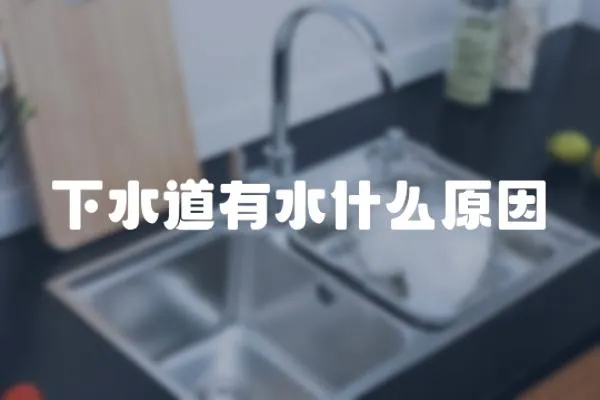 下水道有水什么原因