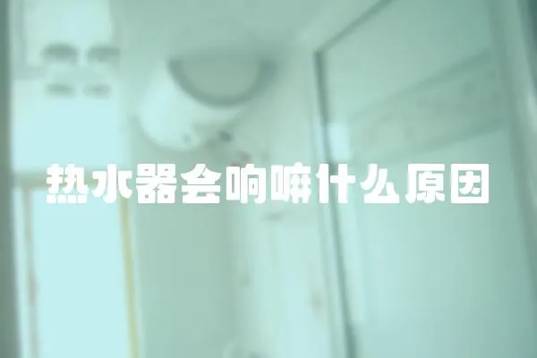 熱水器會(huì)響嘛什么原因