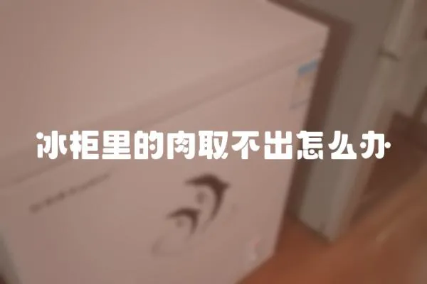 冰柜里的肉取不出怎么辦