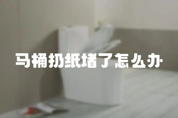馬桶扔紙堵了怎么辦