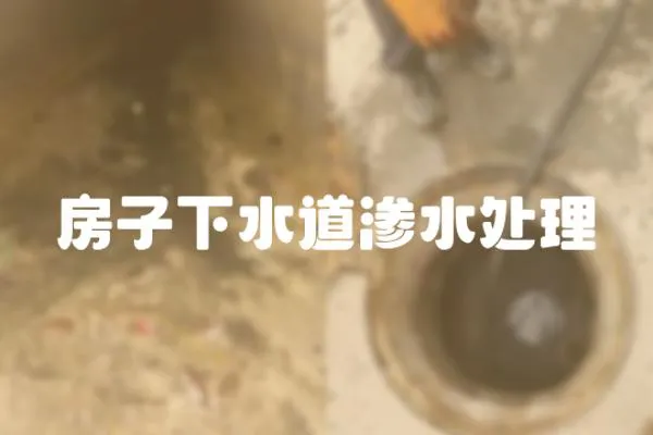 房子下水道滲水處理