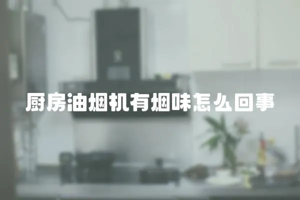 廚房油煙機有煙味怎么回事