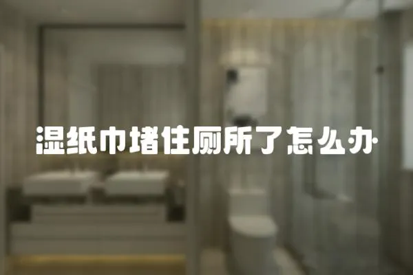 濕紙巾堵住廁所了怎么辦