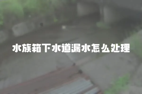 水族箱下水道漏水怎么處理