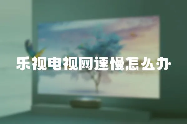 樂視電視網速慢怎么辦