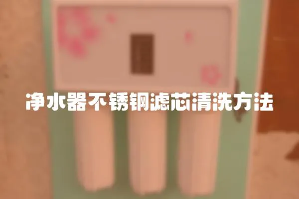 凈水器不銹鋼濾芯清洗方法