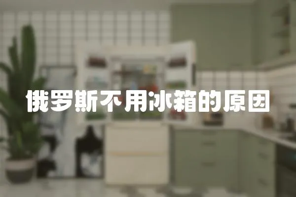俄羅斯不用冰箱的原因