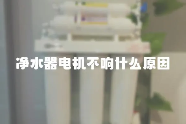 凈水器電機不響什么原因