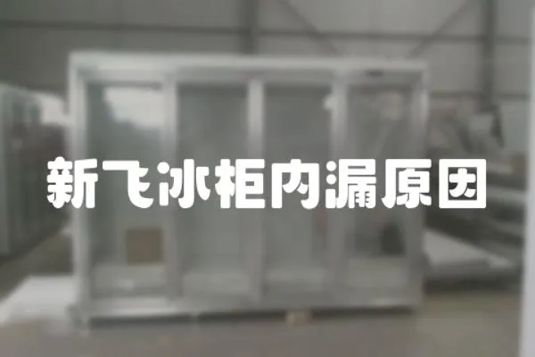 新飛冰柜內漏原因