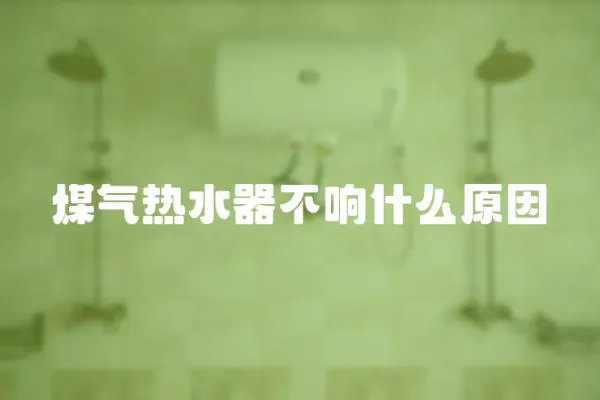 煤氣熱水器不響什么原因