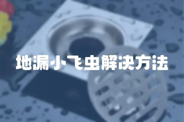 地漏小飛蟲解決方法