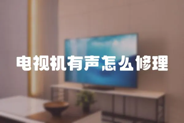 電視機有聲怎么修理