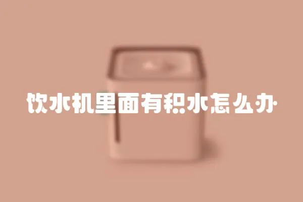 饮水机里面有积水怎么办