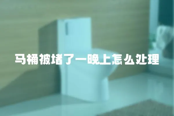 馬桶被堵了一晚上怎么處理