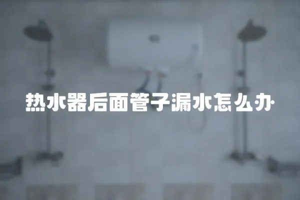 熱水器后面管子漏水怎么辦