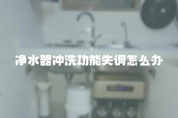 凈水器沖洗功能失調怎么辦
