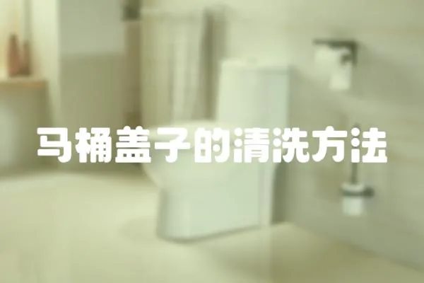馬桶蓋子的清洗方法