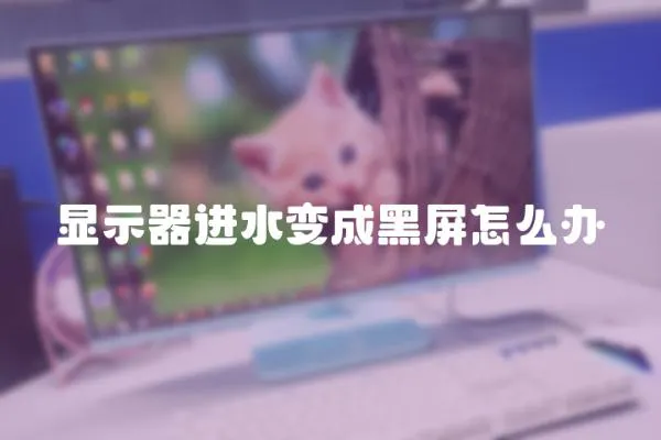顯示器進水變成黑屏怎么辦