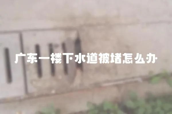廣東一樓下水道被堵怎么辦