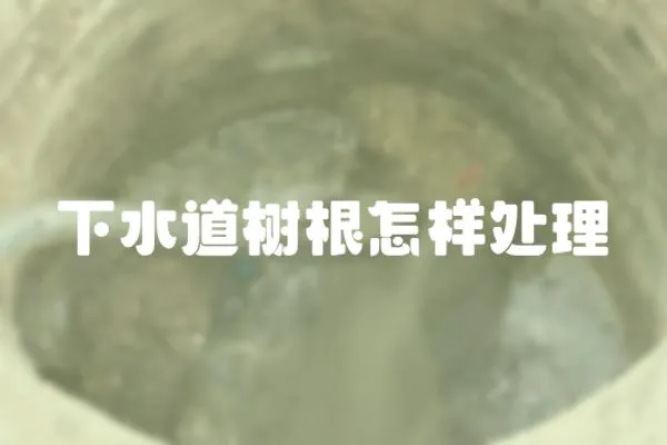 下水道樹根怎樣處理