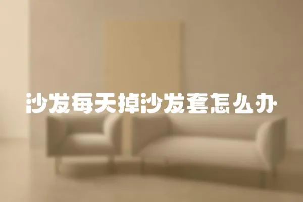 沙發每天掉沙發套怎么辦