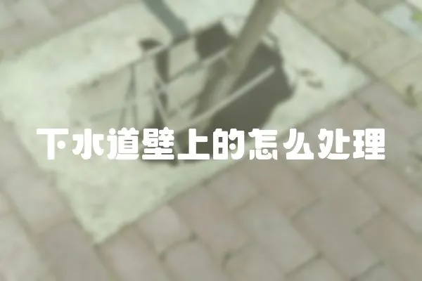 下水道壁上的怎么處理