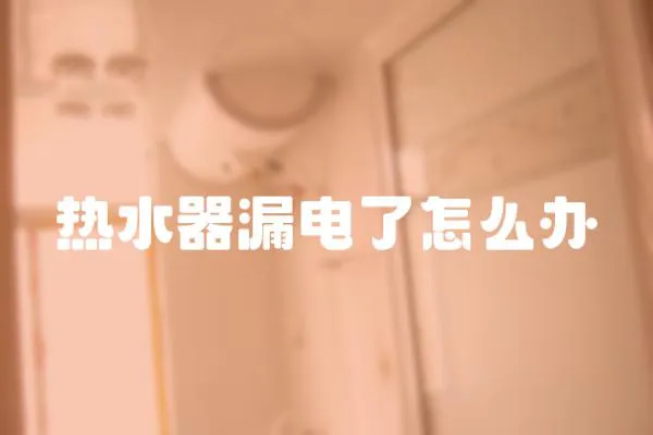 熱水器漏電了怎么辦