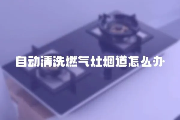 自動清洗燃氣灶煙道怎么辦