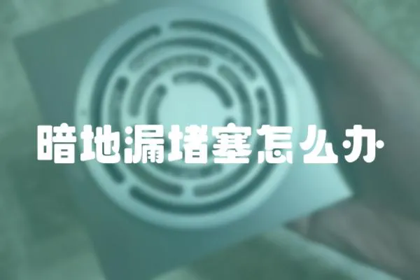 暗地漏堵塞怎么辦