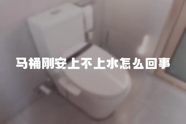 馬桶剛安上不上水怎么回事