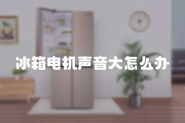 冰箱電機聲音大怎么辦