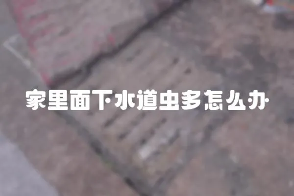 家里面下水道蟲多怎么辦