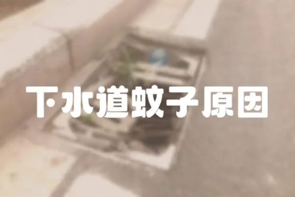 下水道蚊子原因