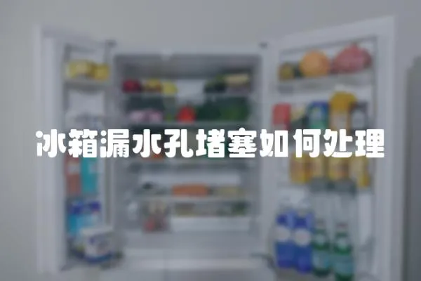 冰箱漏水孔堵塞如何處理