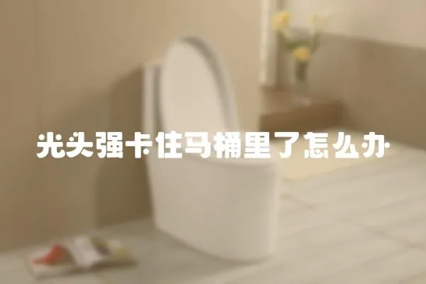 光頭強(qiáng)卡住馬桶里了怎么辦