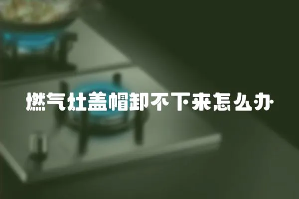 燃氣灶蓋帽卸不下來怎么辦