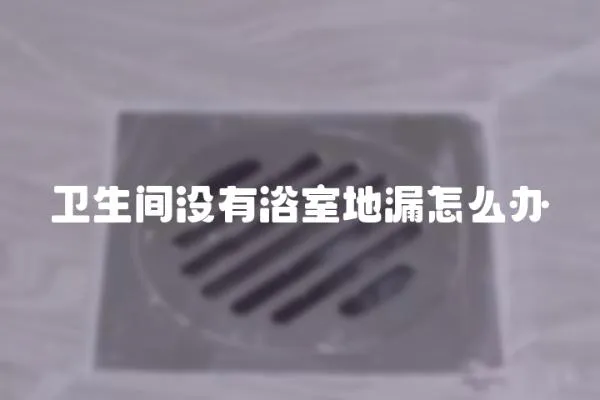 衛(wèi)生間沒有浴室地漏怎么辦
