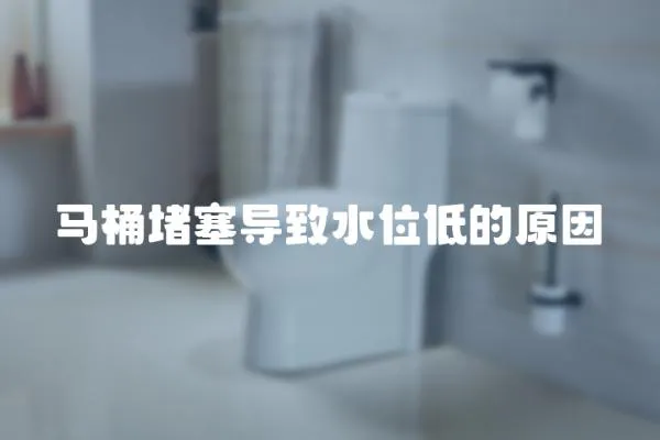 馬桶堵塞導致水位低的原因