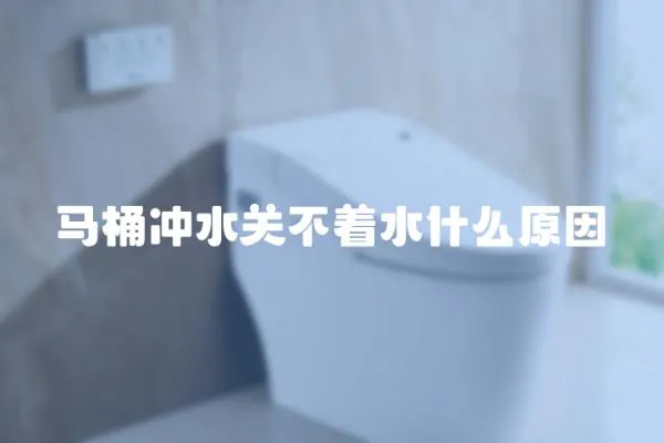 馬桶沖水關(guān)不著水什么原因