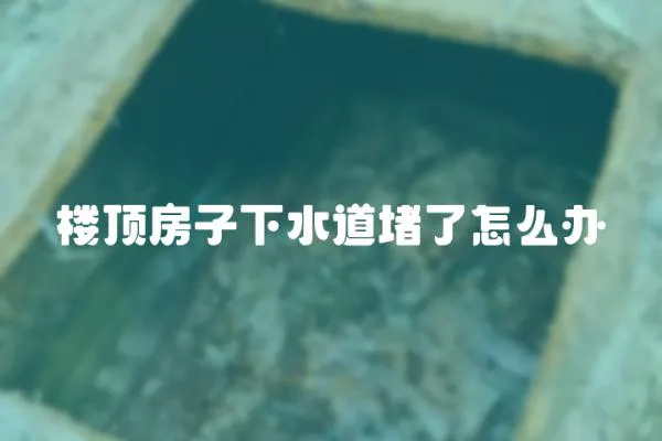 樓頂房子下水道堵了怎么辦