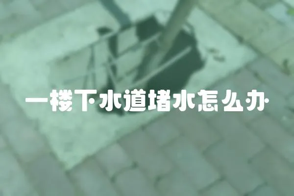 一樓下水道堵水怎么辦