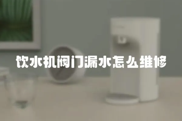 飲水機閥門漏水怎么維修