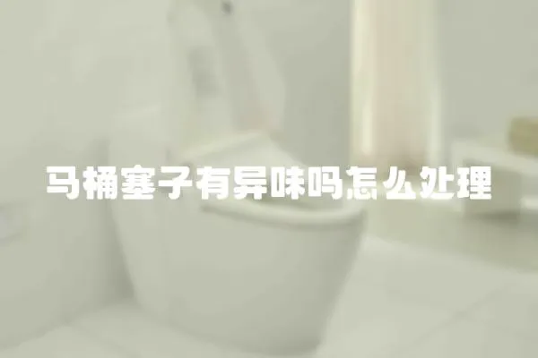 馬桶塞子有異味嗎怎么處理