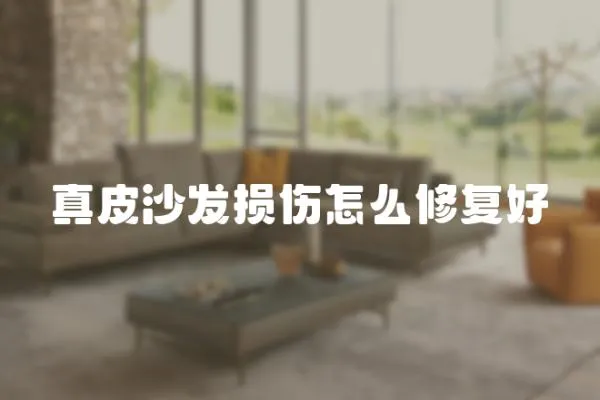 真皮沙發(fā)損傷怎么修復(fù)好