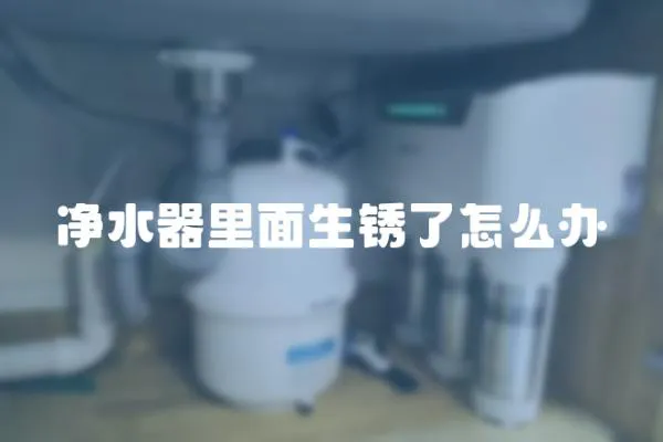 凈水器里面生銹了怎么辦