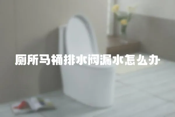 廁所馬桶排水閥漏水怎么辦