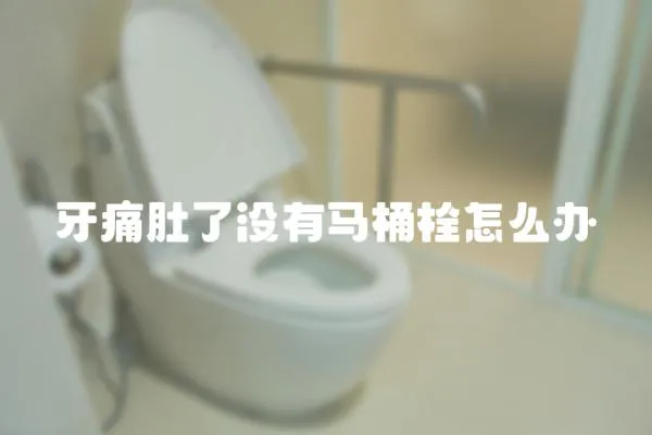 牙痛肚了沒有馬桶栓怎么辦